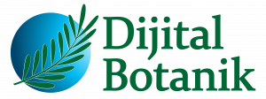 Dijital Botanik